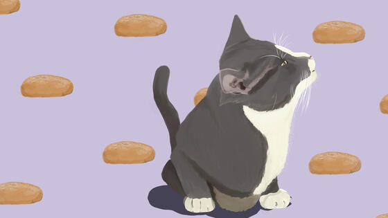 01/1/2025
